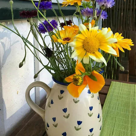 Authentic Close To The On Tatil Evi *