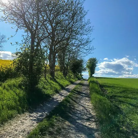 Tatil Evi Authentic Close To The On *